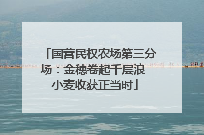 国营民权农场第三分场：金穗卷起千层浪 小麦收获正当时
